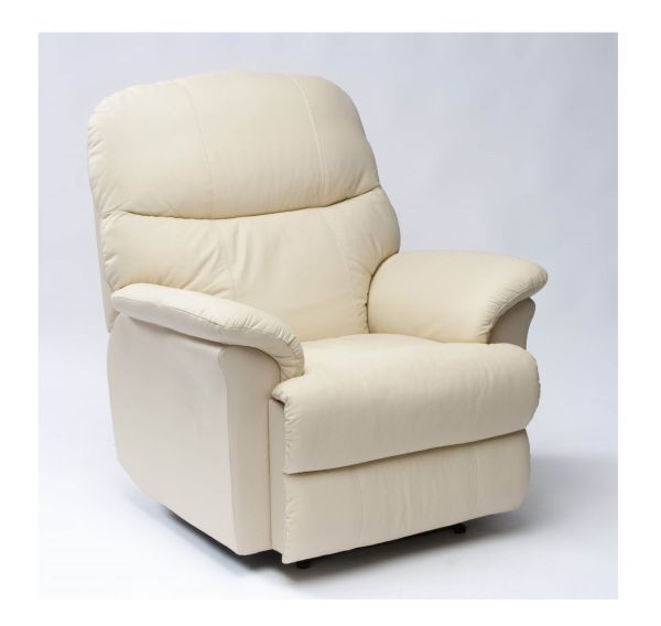 Buffalo dual motor rise and recline chair