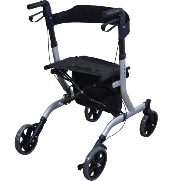 rear view in grey