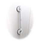 Suction Cup Grab Bar