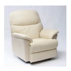 Buffalo dual motor rise and recline chair